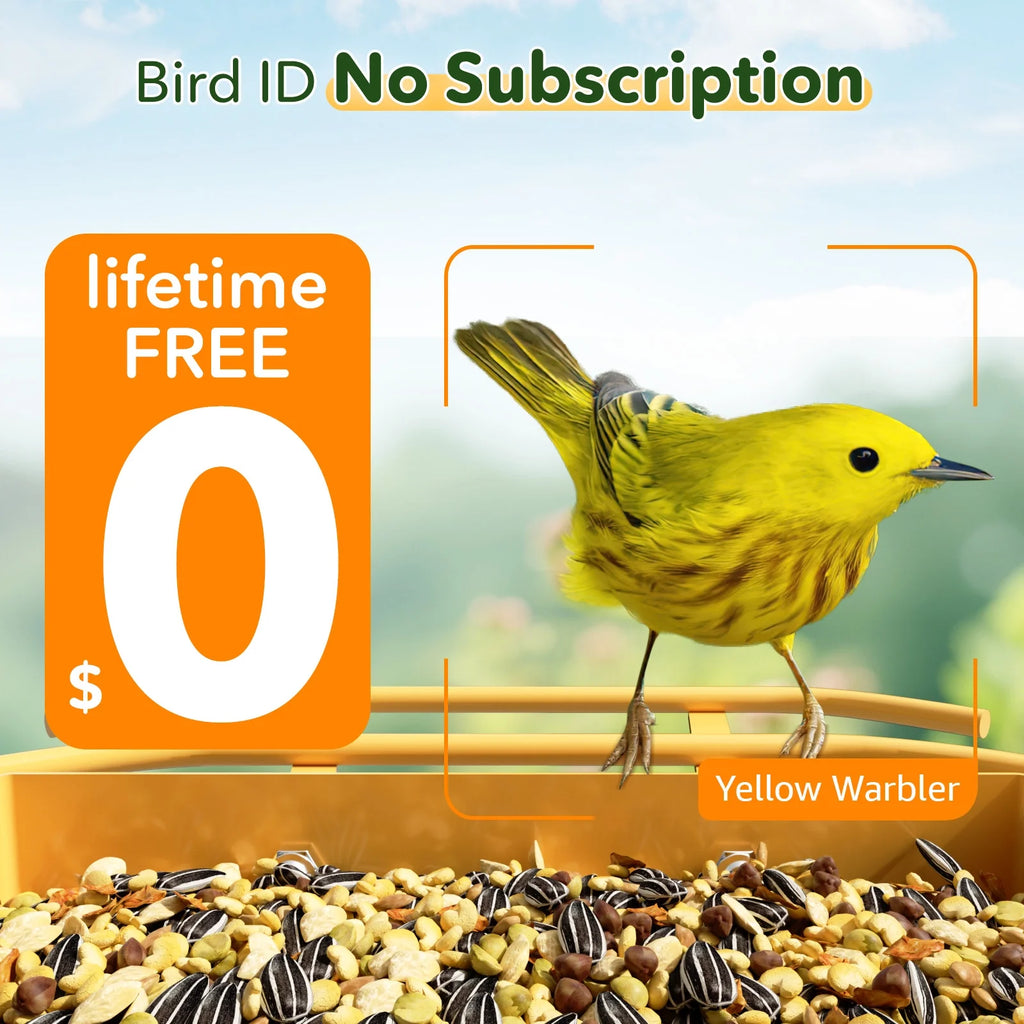 Bilantan BirdHi Mag Pro Bird Feeder with Camera, 5G/2.4G WiFi Compatible